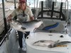 (05/05/2015) - Nice Striped Bass